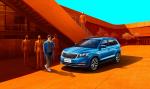 Skoda Kamiq 2018 года (CN)